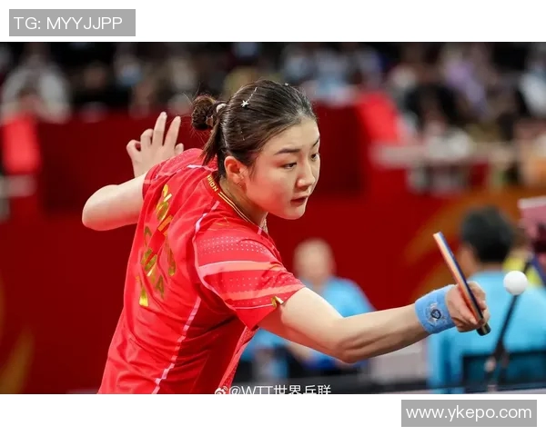 乒乓球赛事积分榜最新动态分析与选手表现评估全景解读